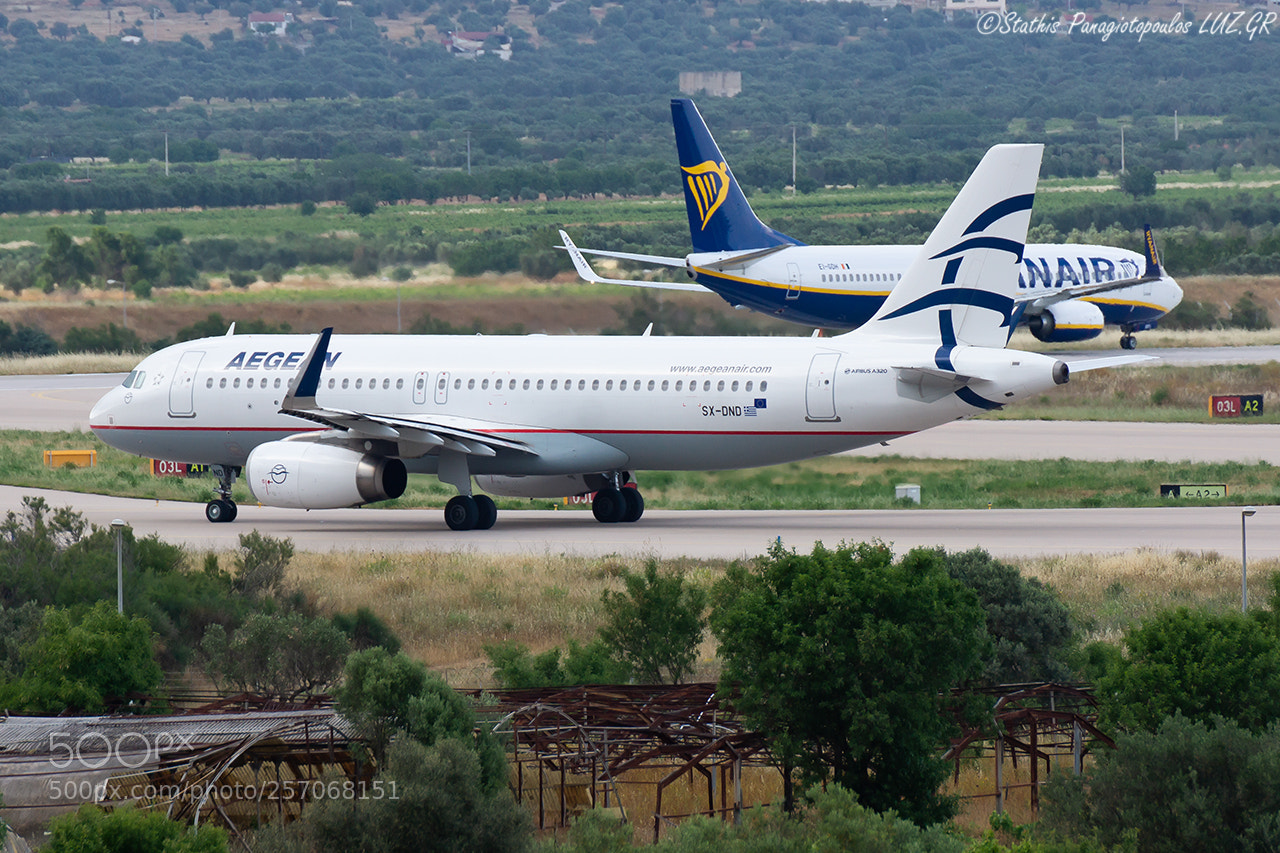 Sony SLT-A77 sample photo. Ready for take off photography