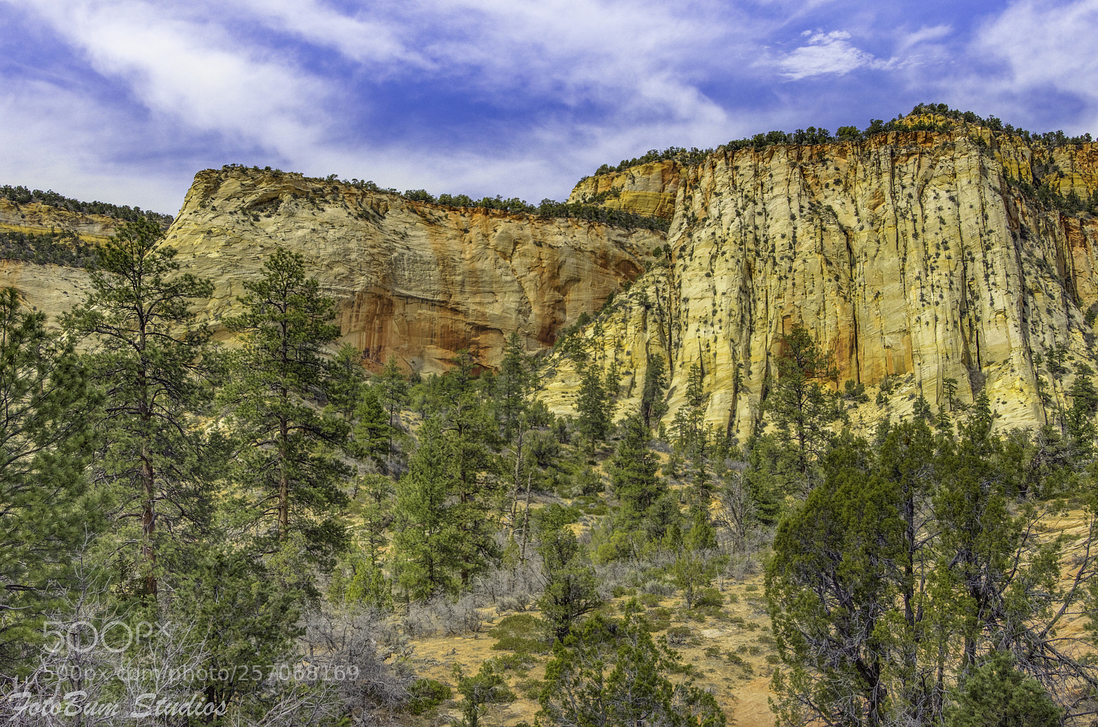 Nikon D7200 sample photo. Secrets of zion photography