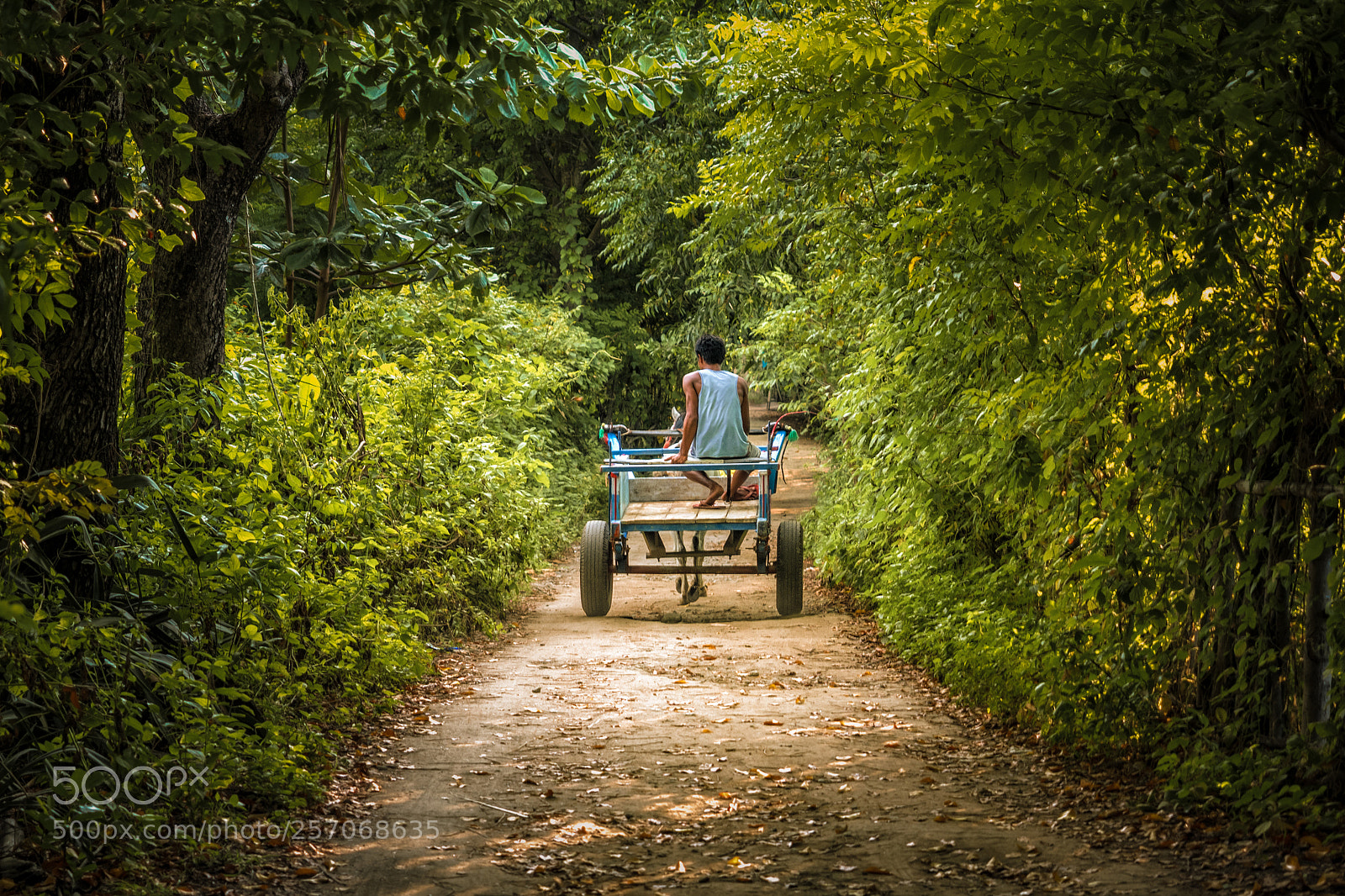 Olympus OM-D E-M5 II sample photo. Getting around on gili photography
