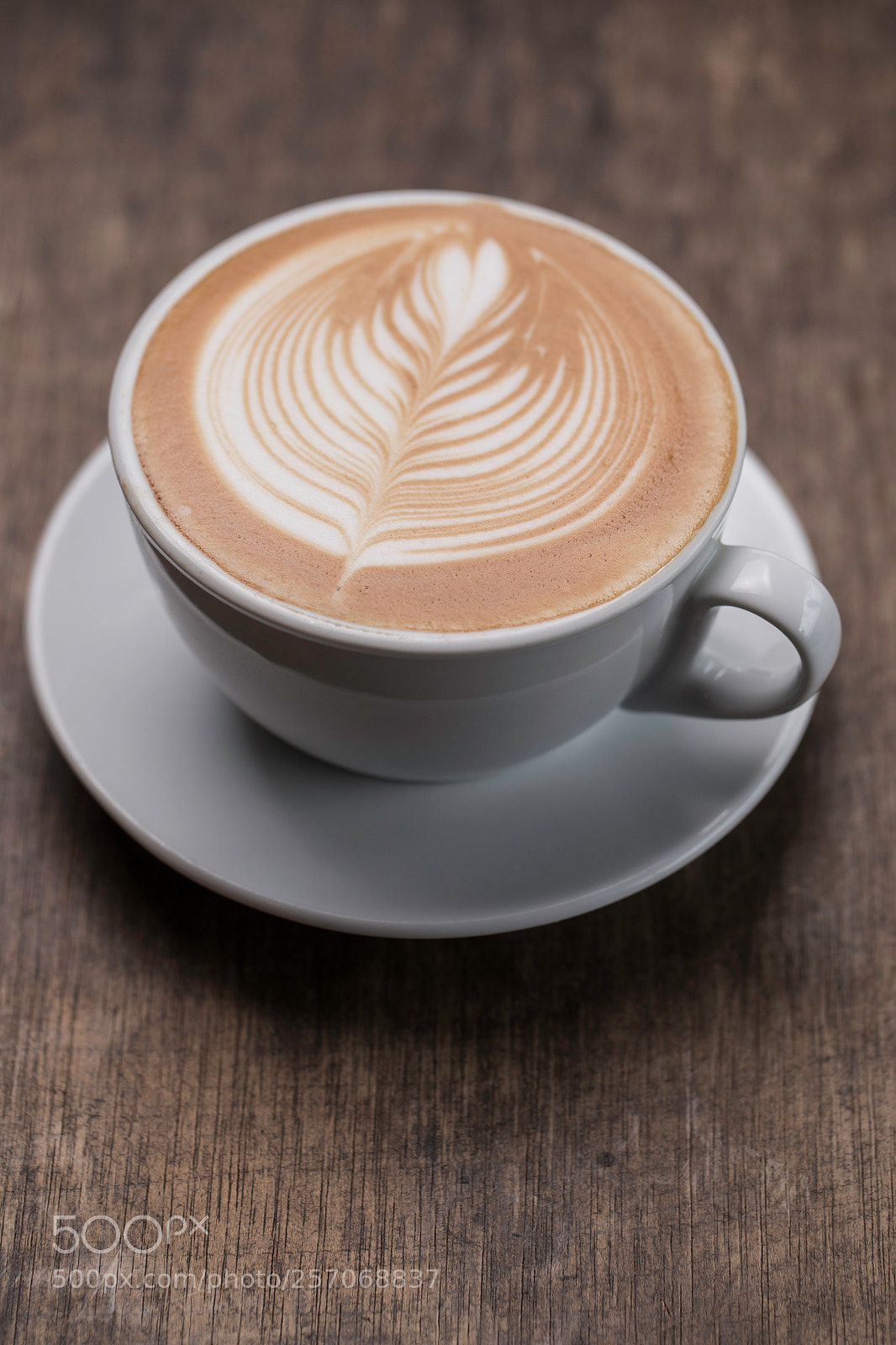 Canon EOS 6D sample photo. Café photography