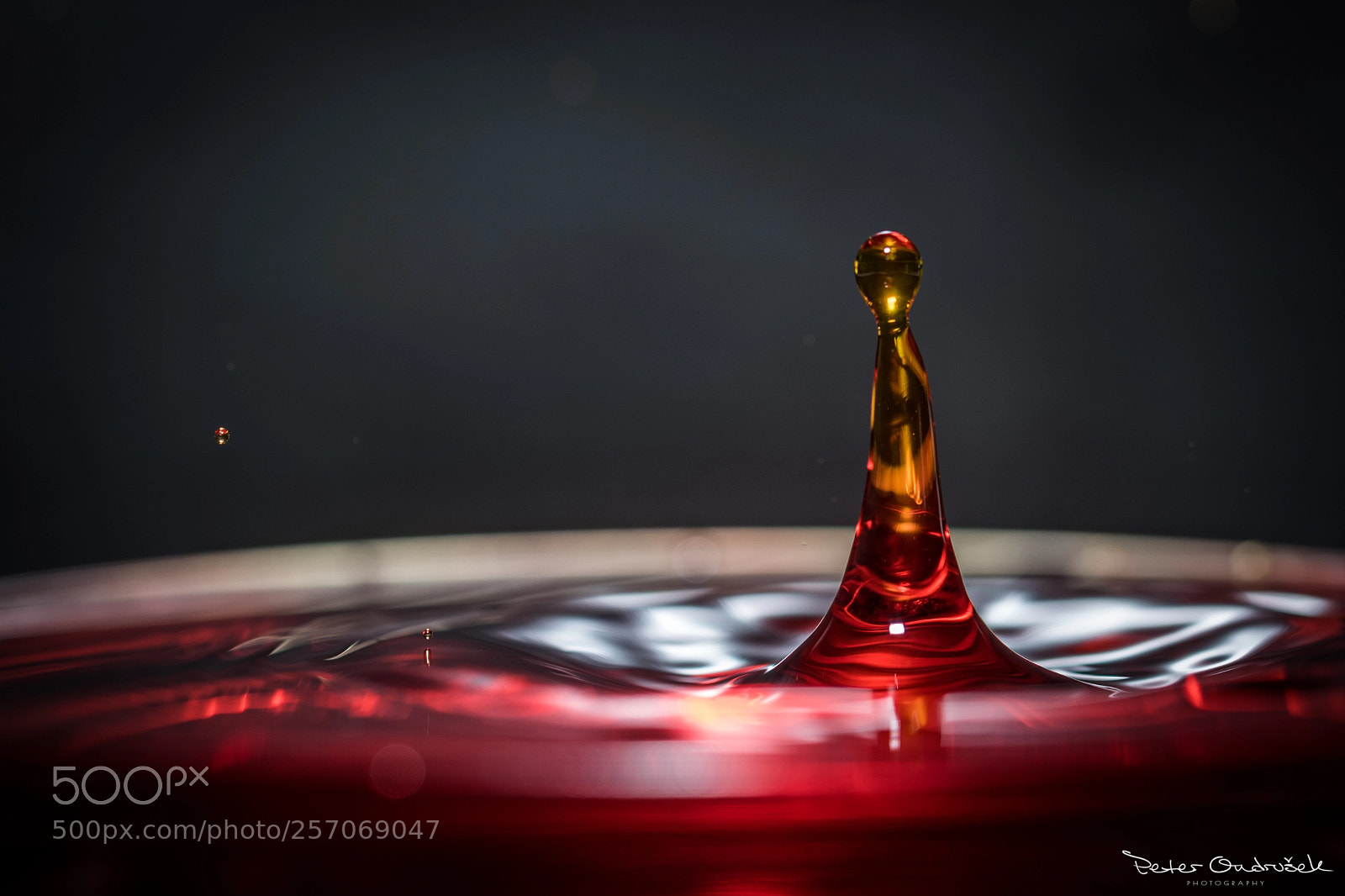 Nikon D850 sample photo. Water drop photography