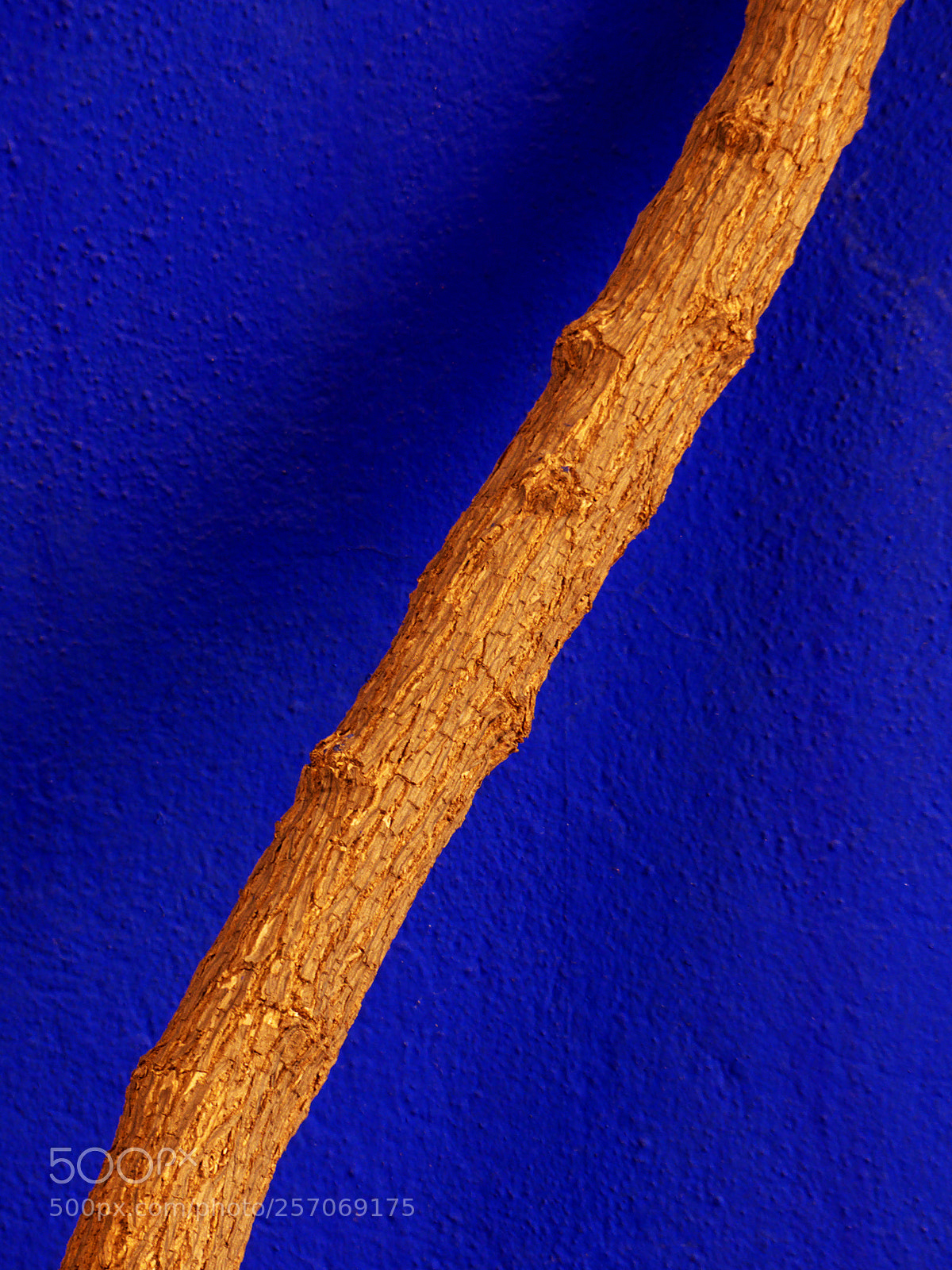 Panasonic Lumix DMC-FZ200 sample photo. Jardin majorelle - marrakesh photography