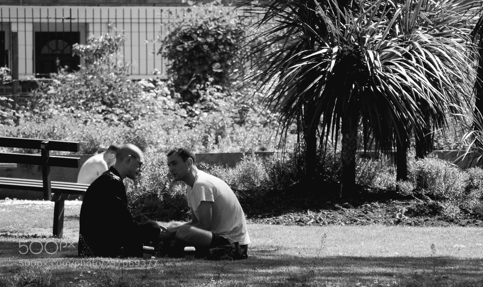 Olympus OM-D E-M10 II sample photo. In conversation photography