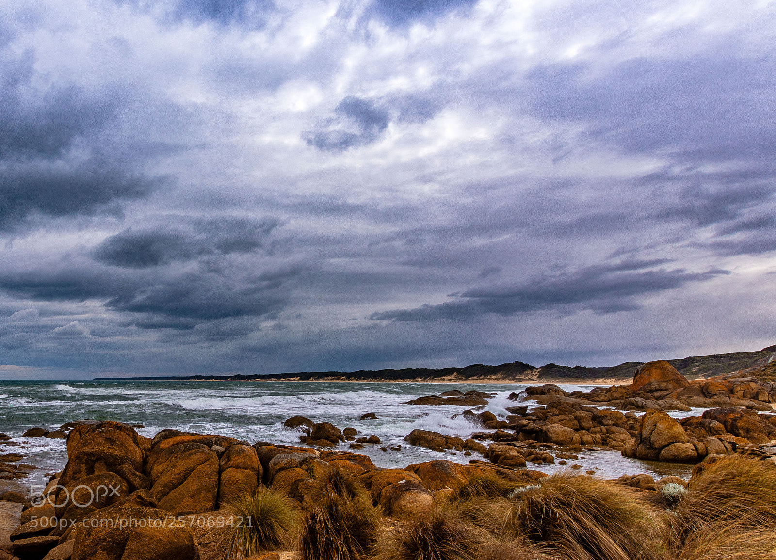 Nikon D7200 sample photo. Australia photography