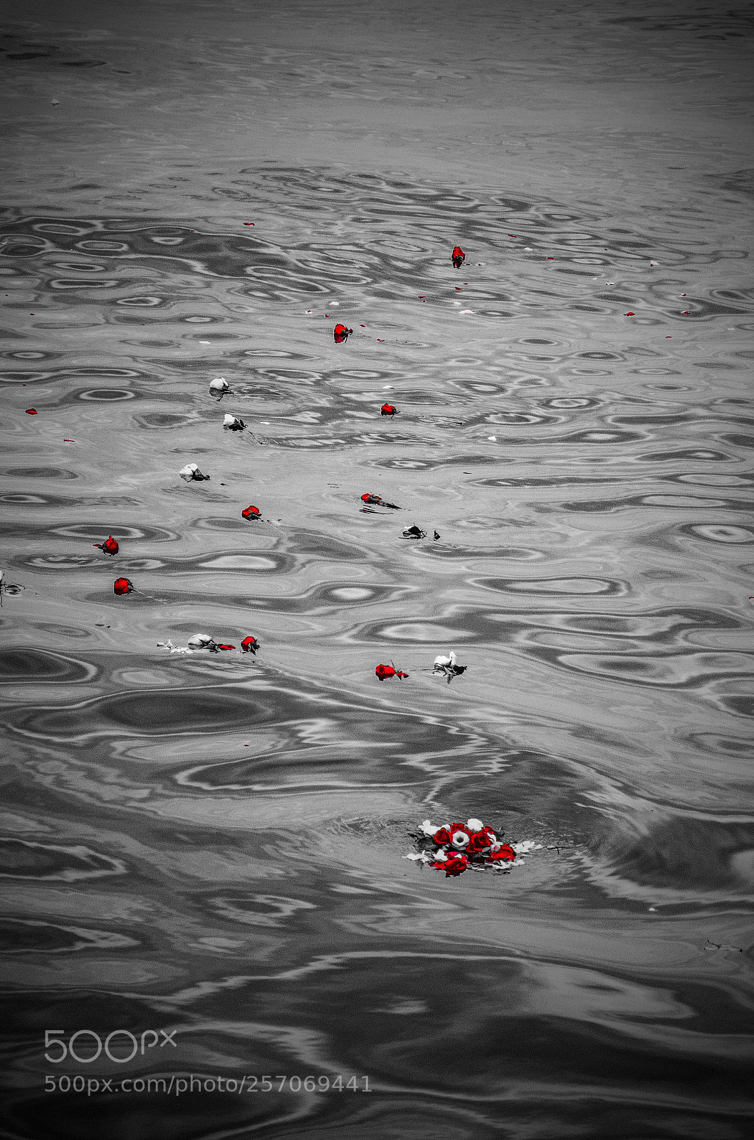 Nikon D7000 sample photo. Memorial photography