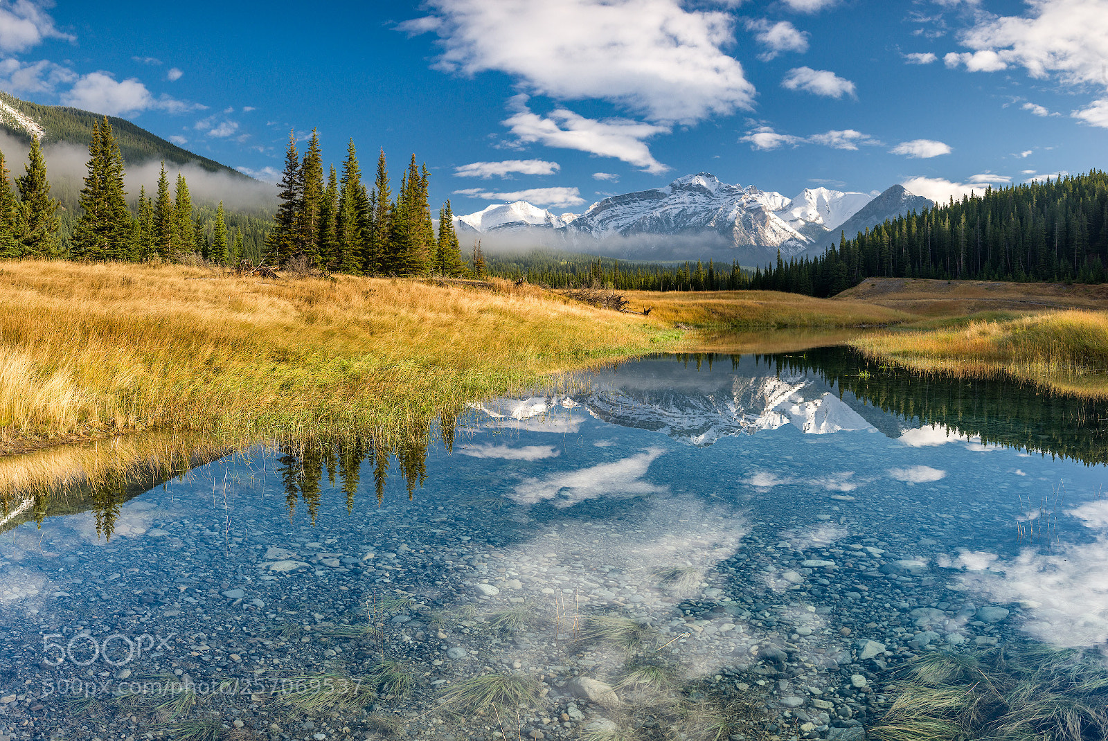 Nikon D800 sample photo. Morning in the rockies photography