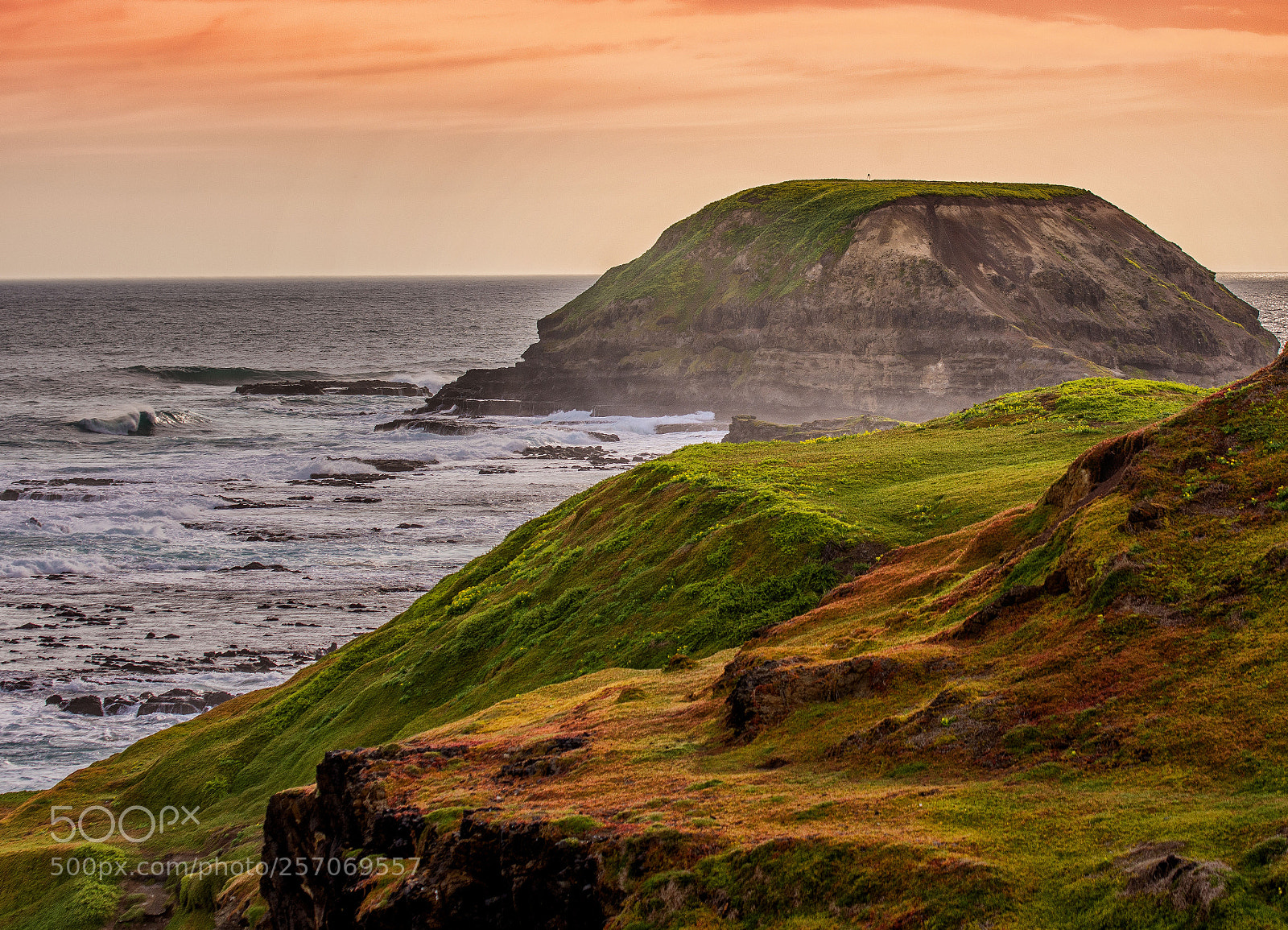 Nikon D7200 sample photo. Philips island photography