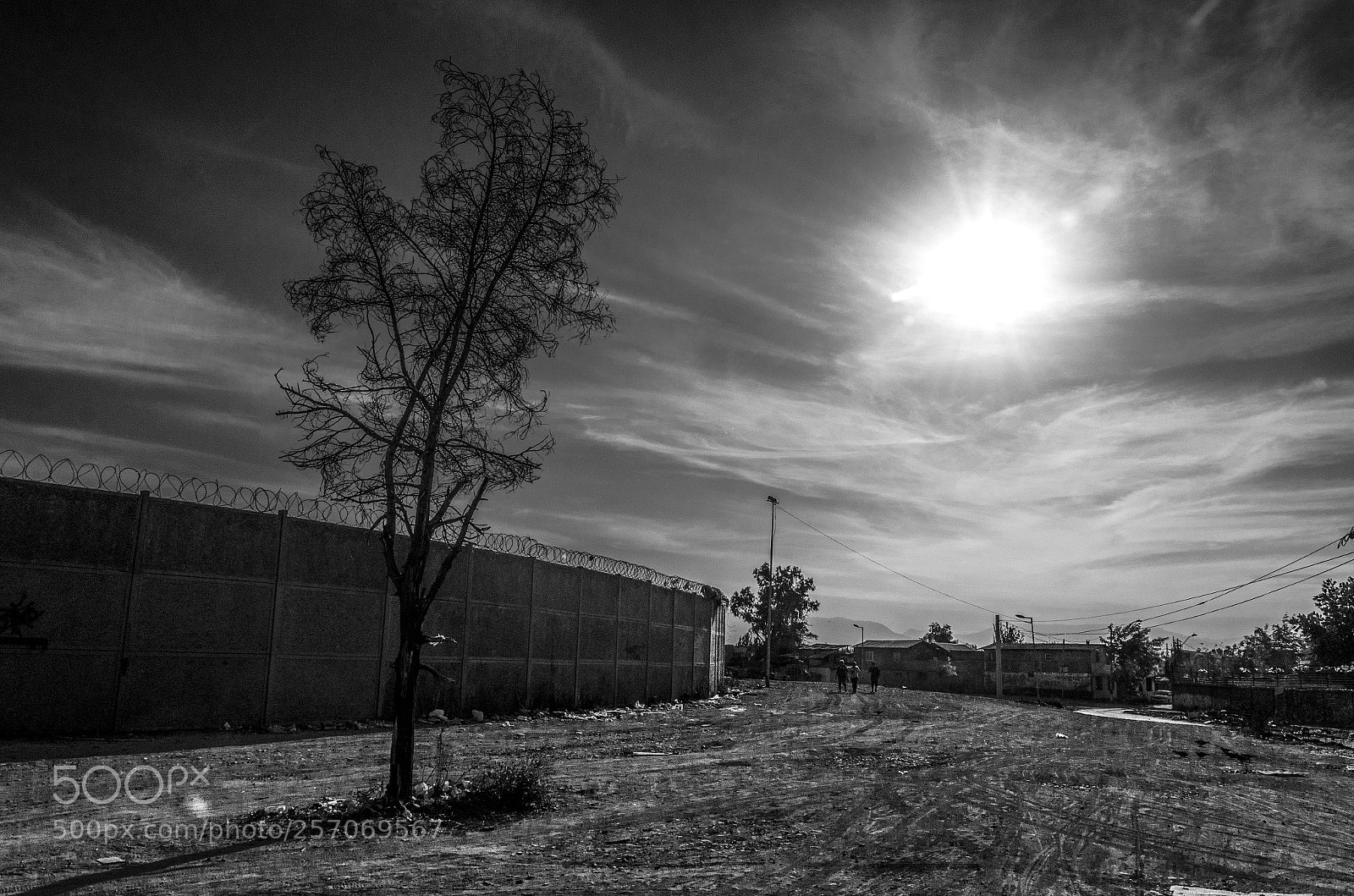 Nikon D7000 sample photo. Untitled photography