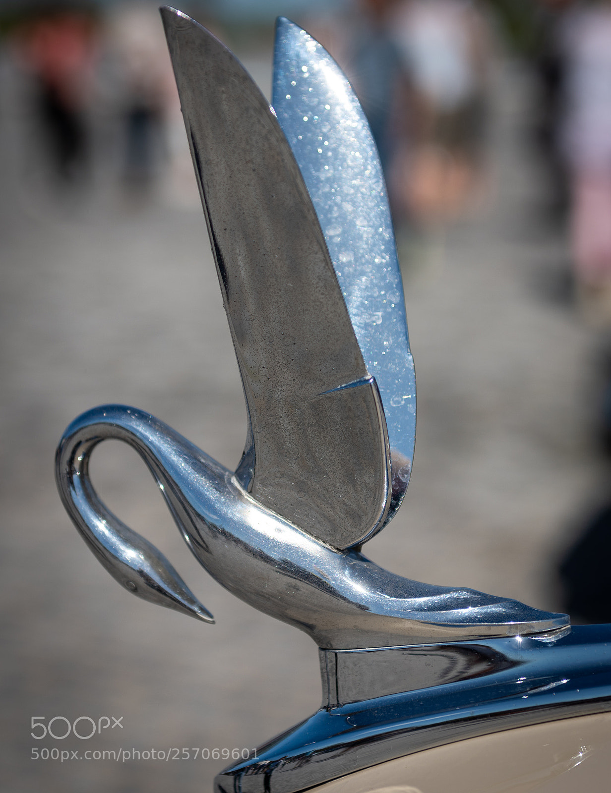 Nikon D810 sample photo. Hood ornaments photography