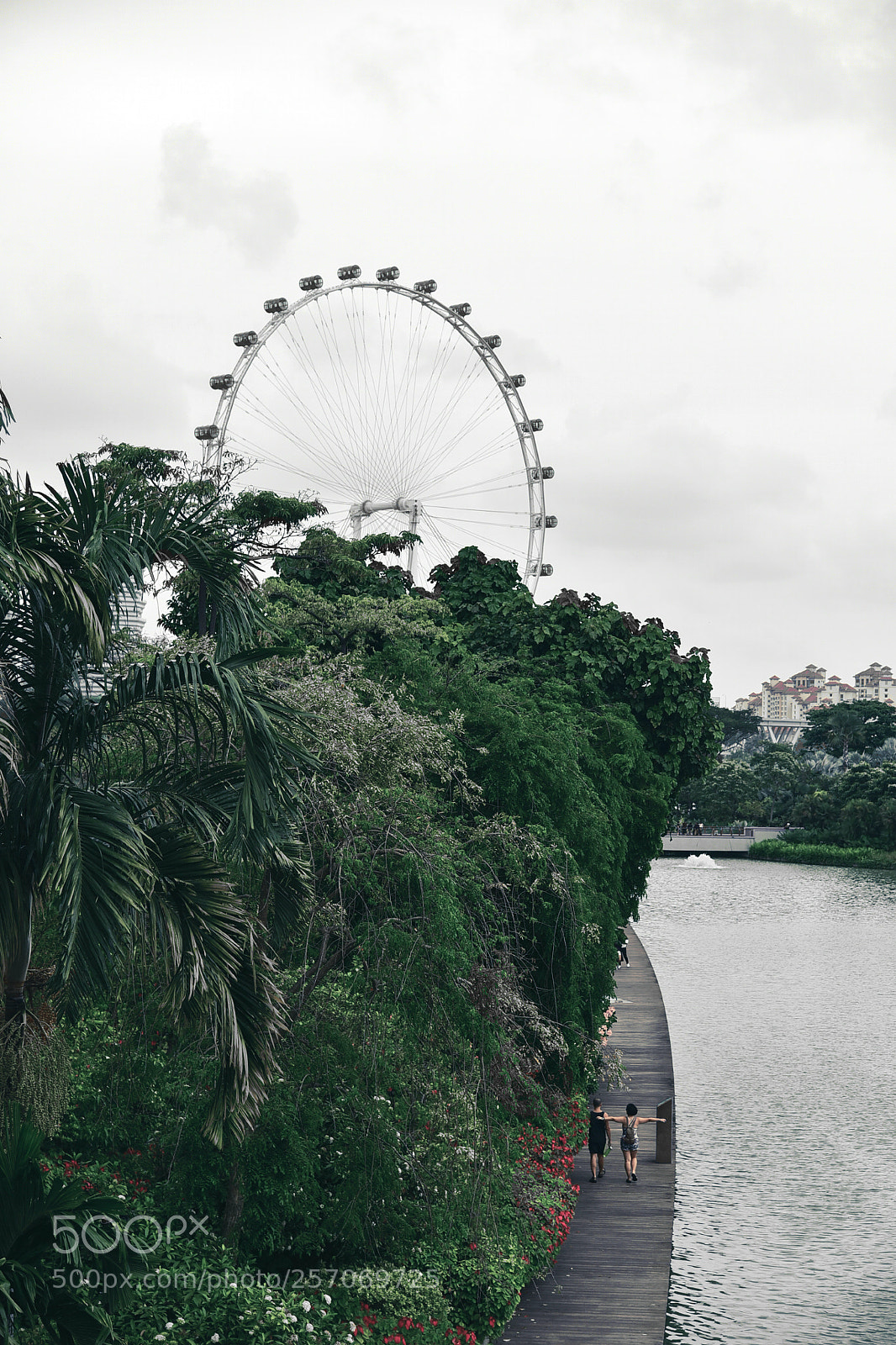 Nikon D750 sample photo. Untitled photography