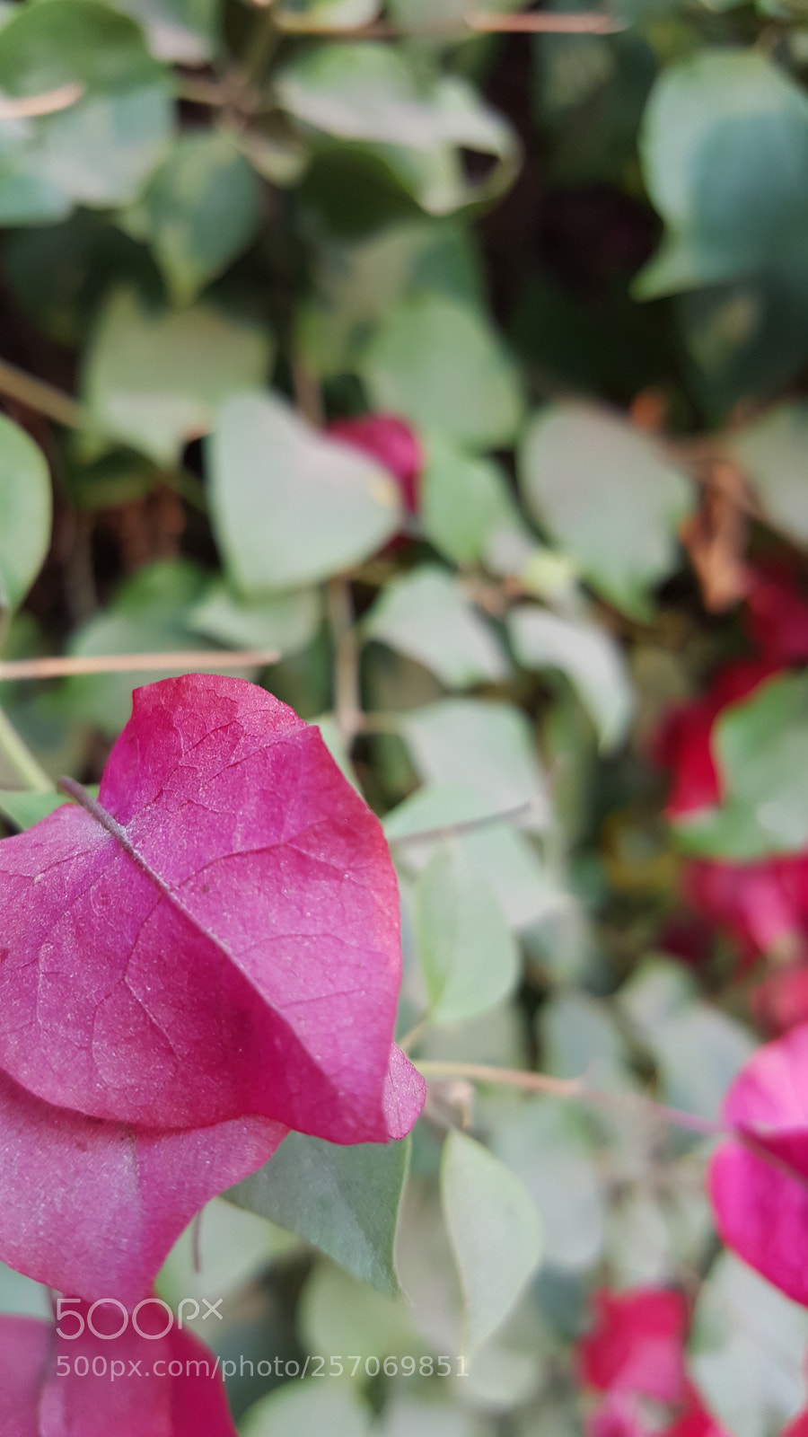 Samsung GALAXY S6 edge sample photo. 20151231_161152.jpg photography