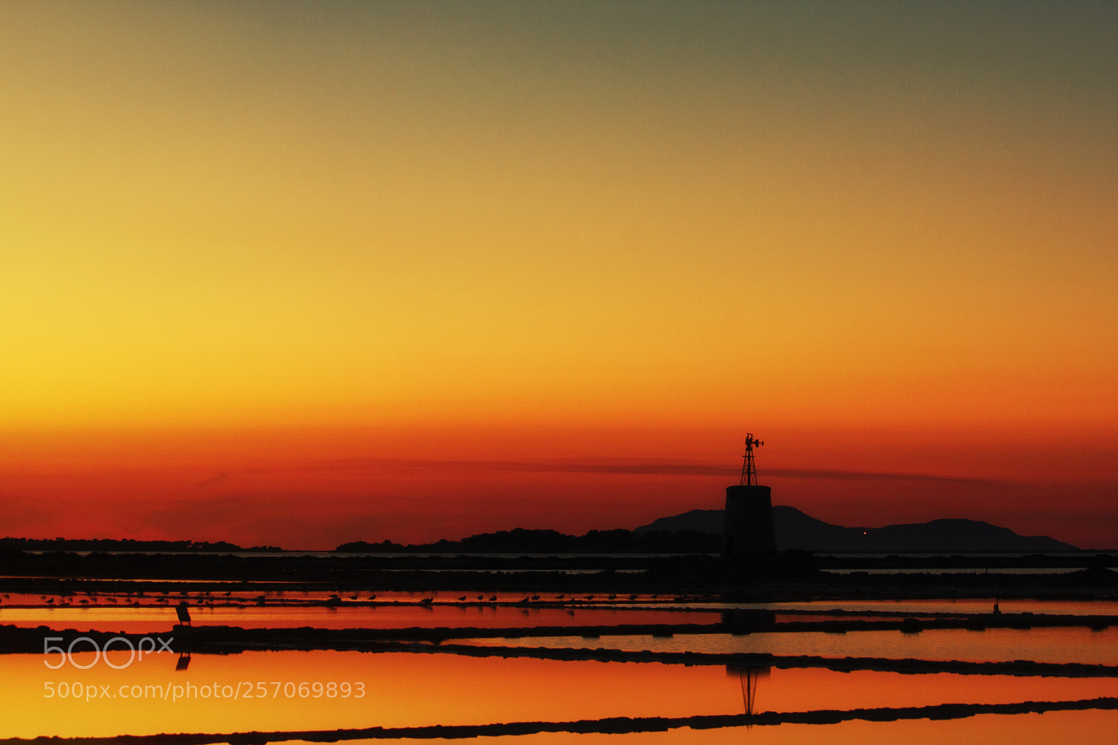 Canon EOS 40D sample photo. Saline of marsala photography