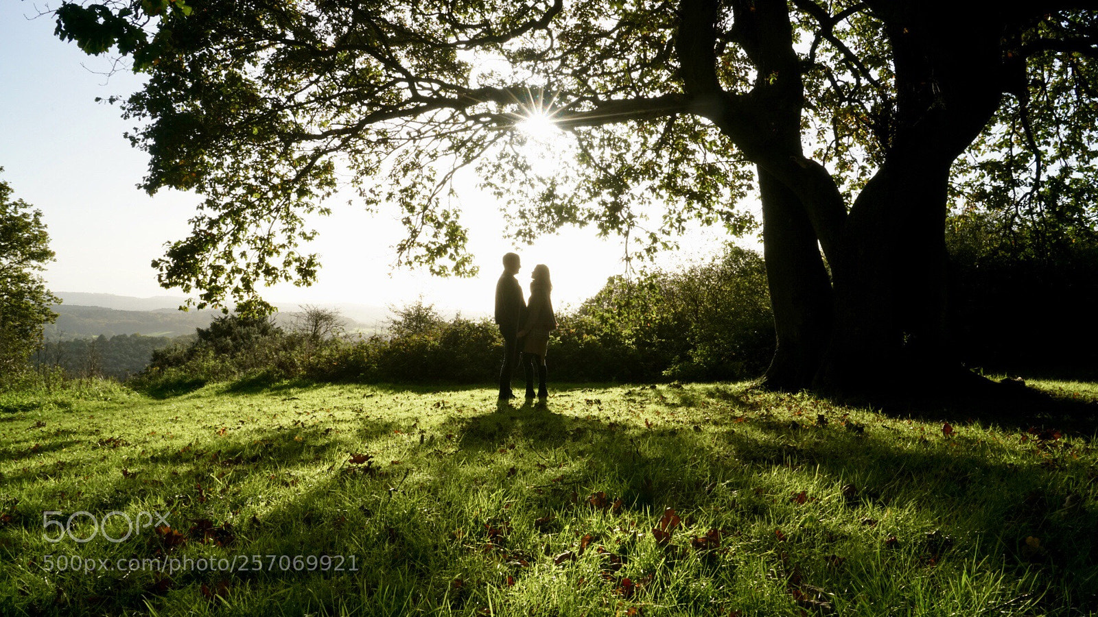 Sony a7R II sample photo. Love is in the photography