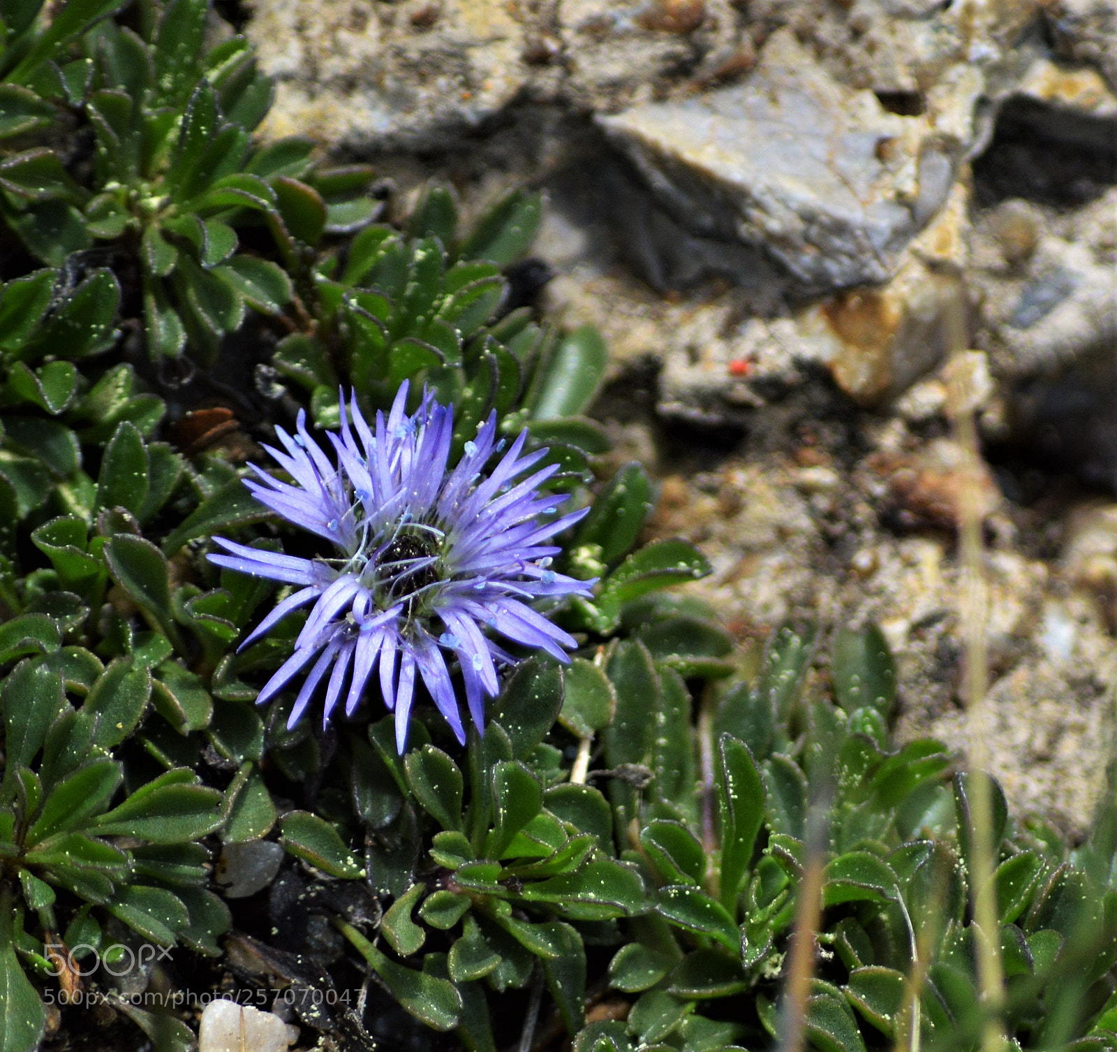 Nikon D3200 sample photo. Untitled photography