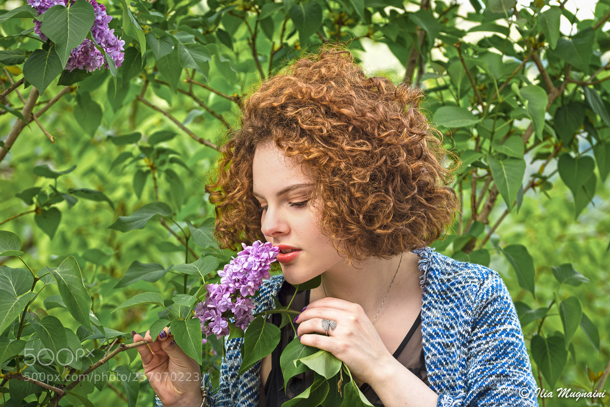 Nikon D7200 sample photo. Il profumo dei lillà photography