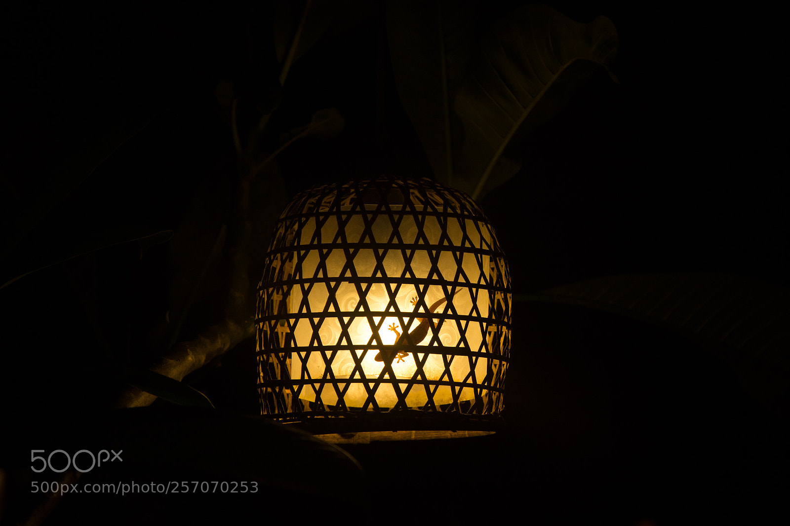 Canon EOS 6D sample photo. Silence photography