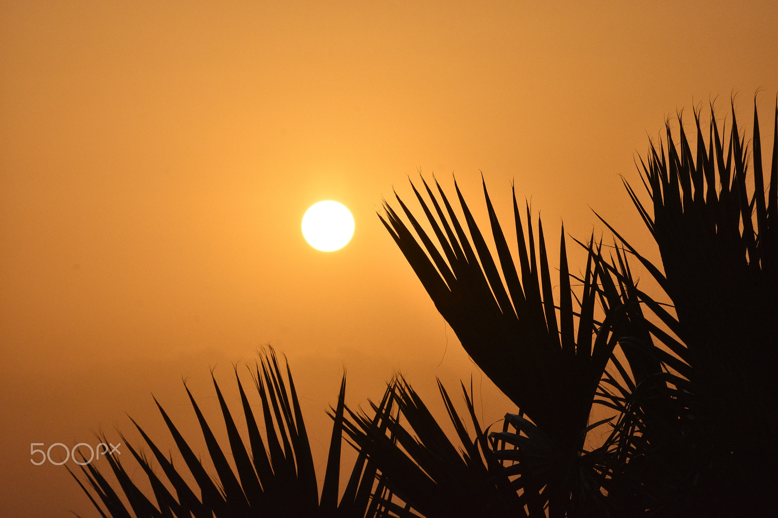 Nikon D7200 sample photo. Sunrise over oroklini photography