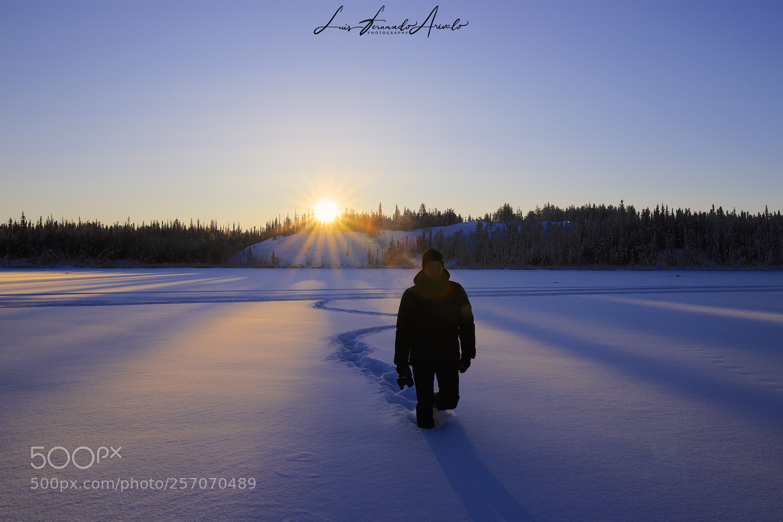 Canon EOS 6D Mark II sample photo. Frozen photography