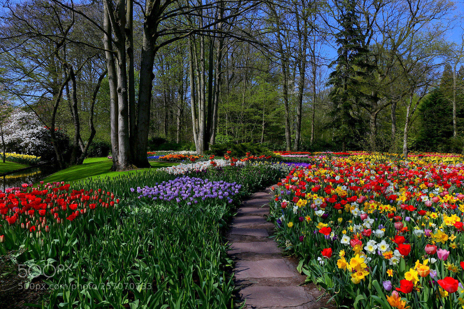 Canon EF 24-70mm F4L IS USM sample photo. The path into the photography