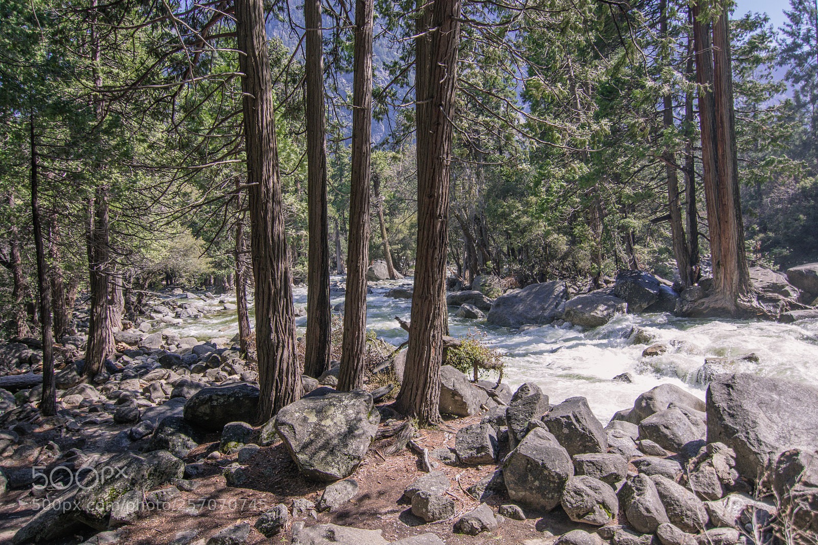 Nikon D5200 sample photo. Yosemite park sierra nevada photography