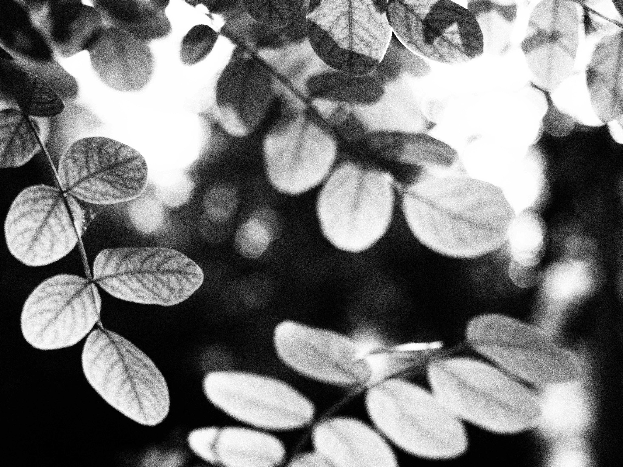 Olympus PEN E-PL6 sample photo. ... photography