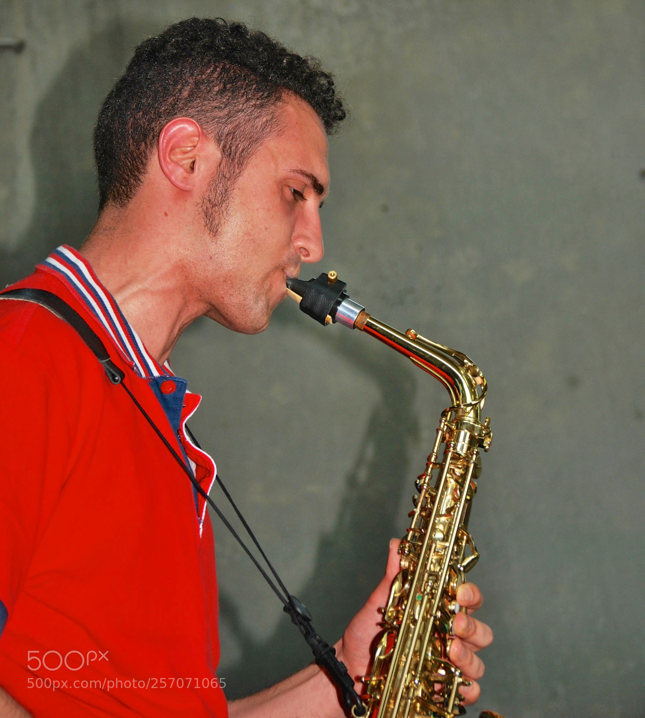 Nikon D60 sample photo. Version photography