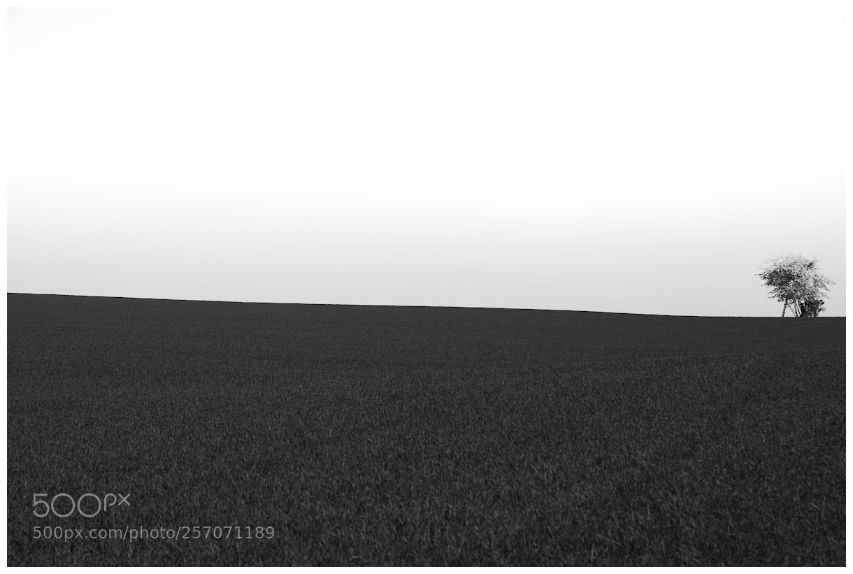 Pentax K-70 sample photo. Landscape iv. photography