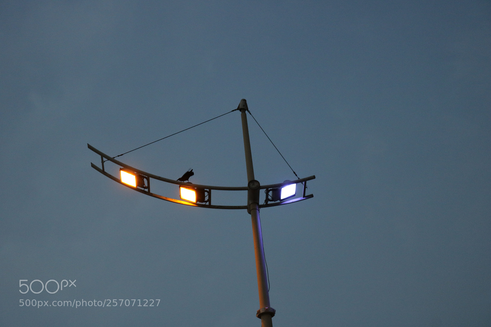 Canon EOS 750D (EOS Rebel T6i / EOS Kiss X8i) sample photo. Shadow of the day photography