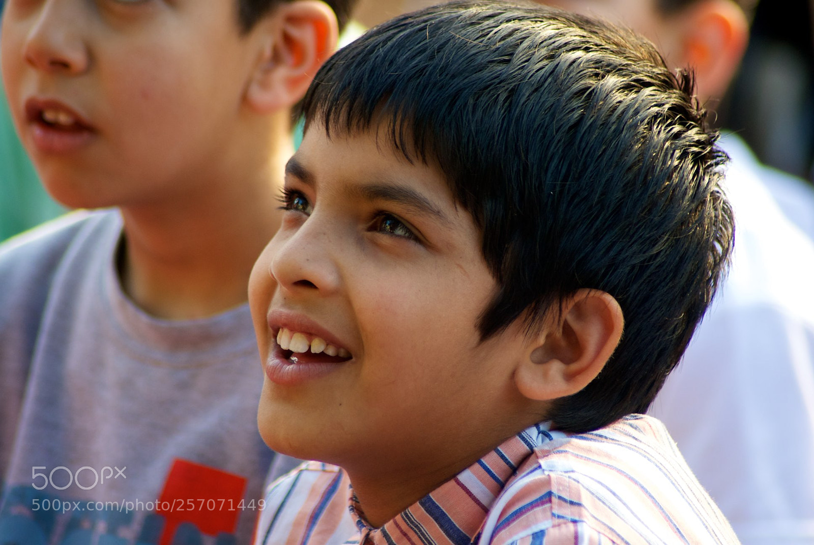 Nikon D60 sample photo. Version photography