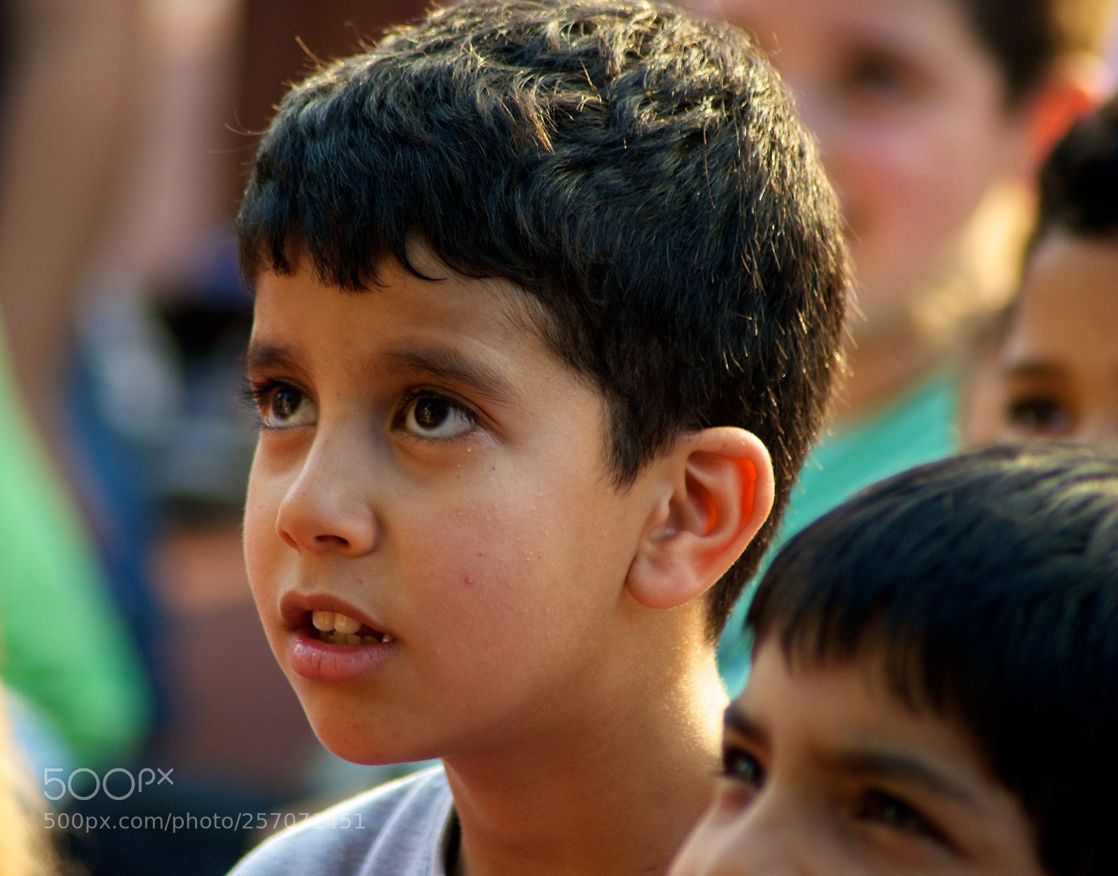 Nikon D60 sample photo. Version photography
