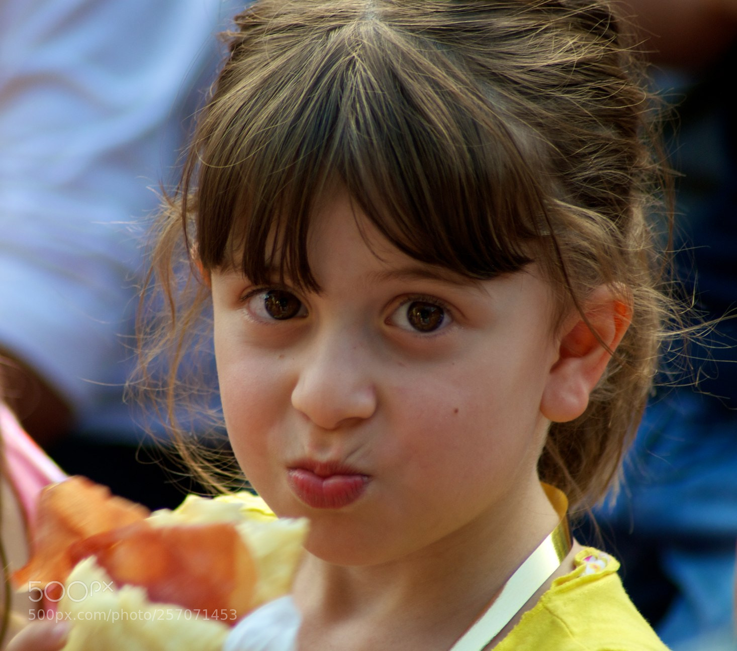 Nikon D60 sample photo. Version photography