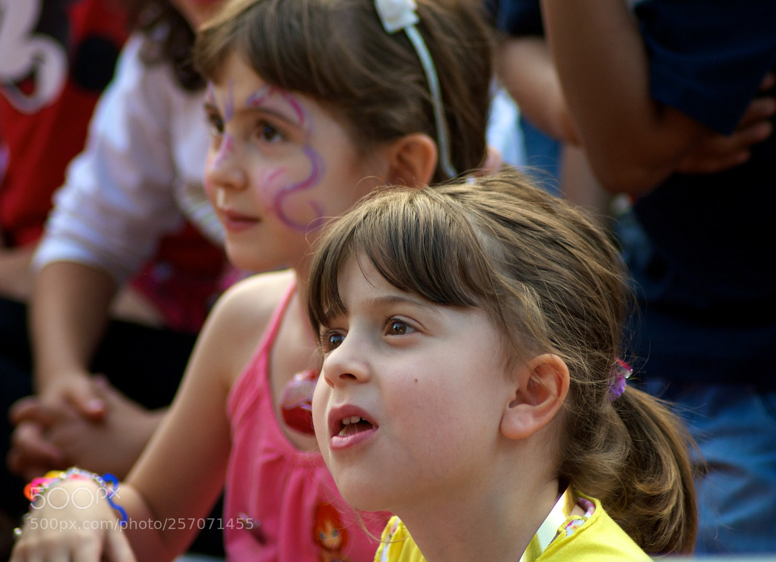 Nikon D60 sample photo. Version photography