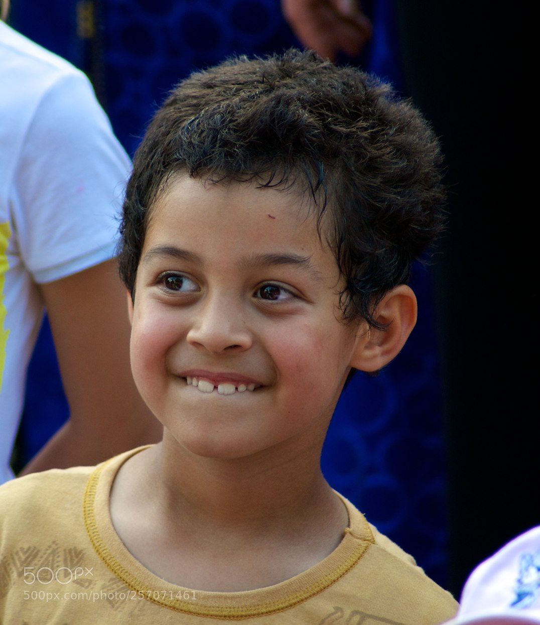 Nikon D60 sample photo. Version photography