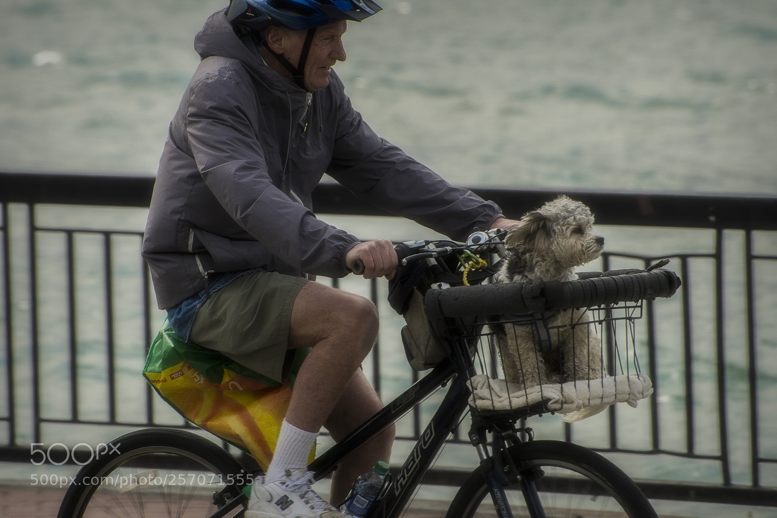 Nikon D500 sample photo. Along for the ride photography