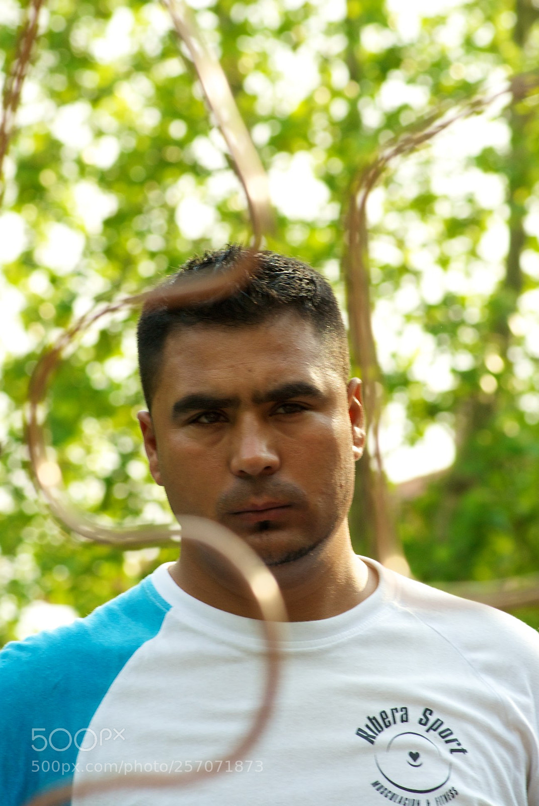 Nikon D60 sample photo. Version photography