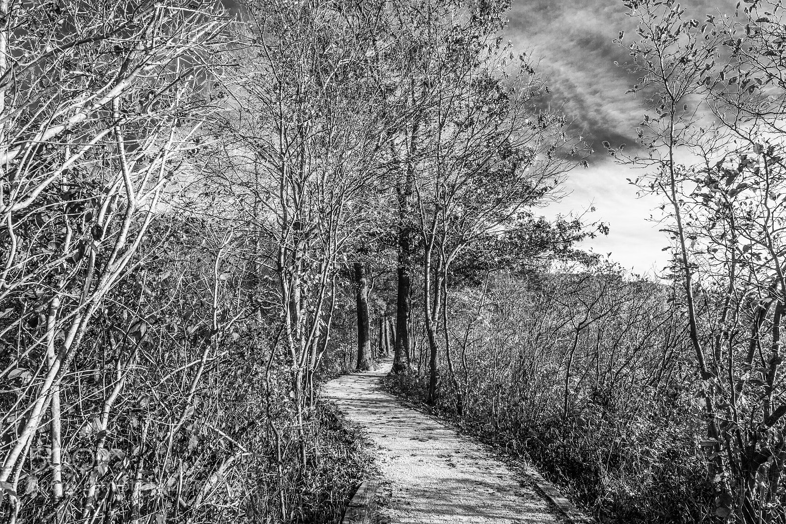 Canon EOS 7D sample photo. Adventure photography