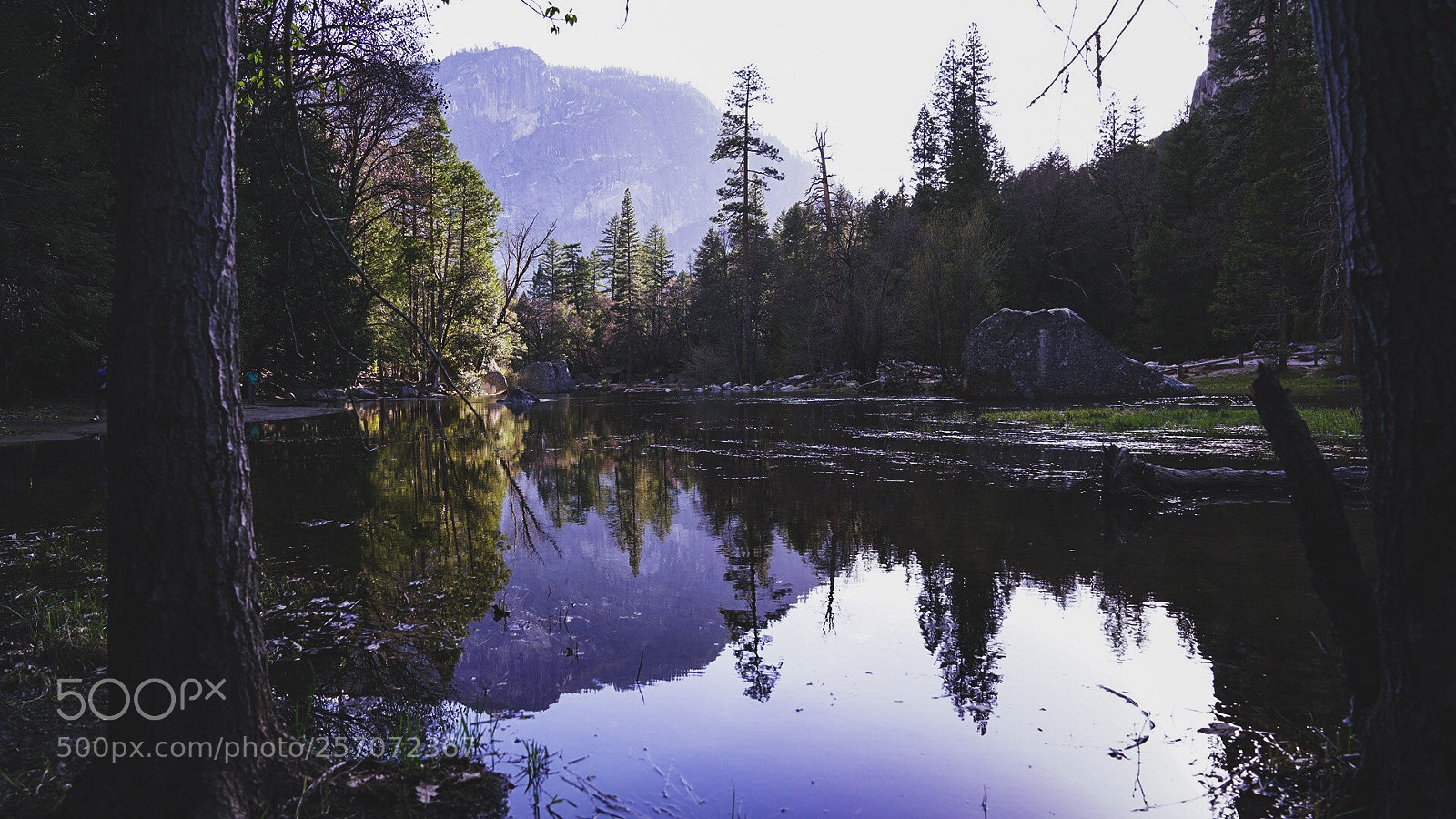 Sony a7R II sample photo. Reflection. photography