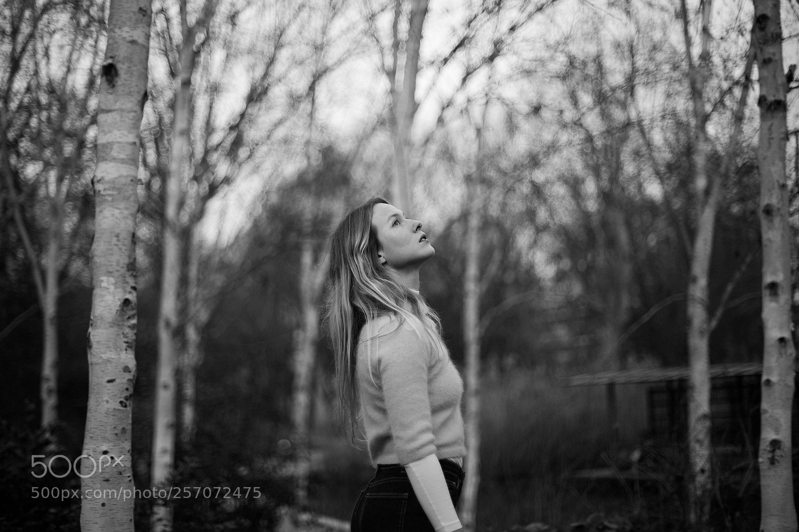 Canon EOS 6D sample photo. Sarah et les arbres photography