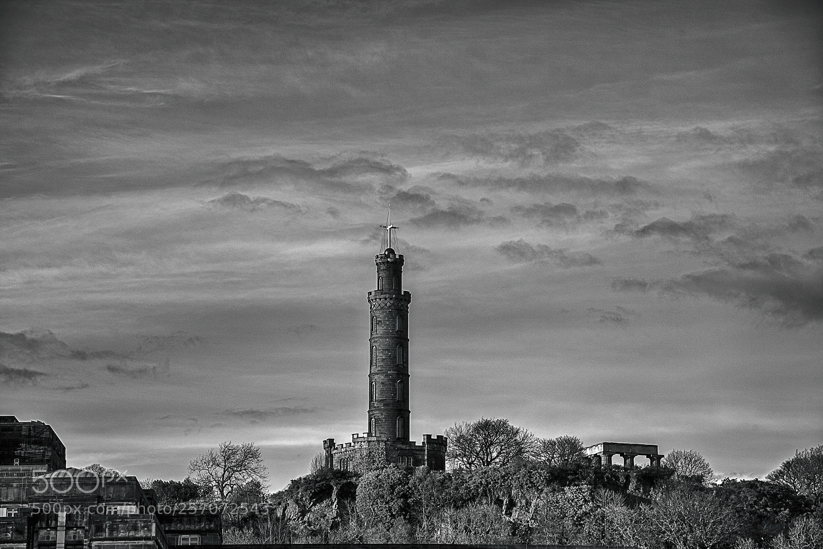 Nikon D810 sample photo. The tower photography