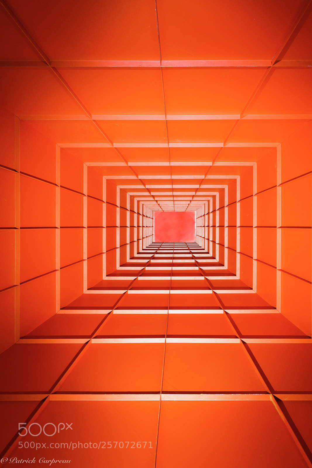 Nikon D850 sample photo. Red is the ultimate photography