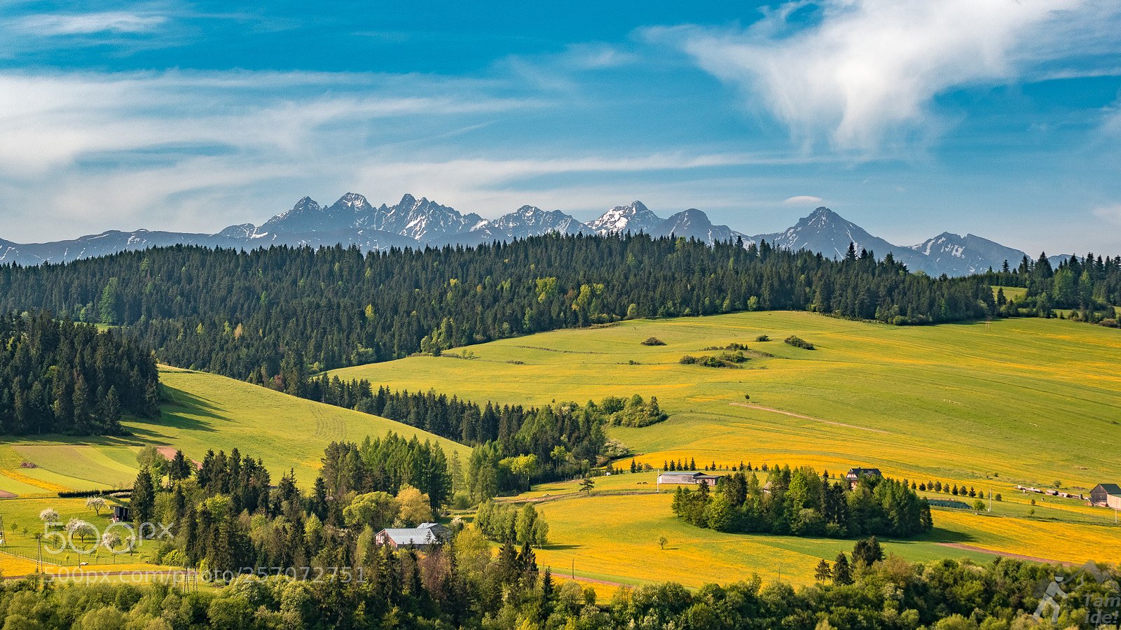 Nikon D5500 sample photo. Colorful spring photography