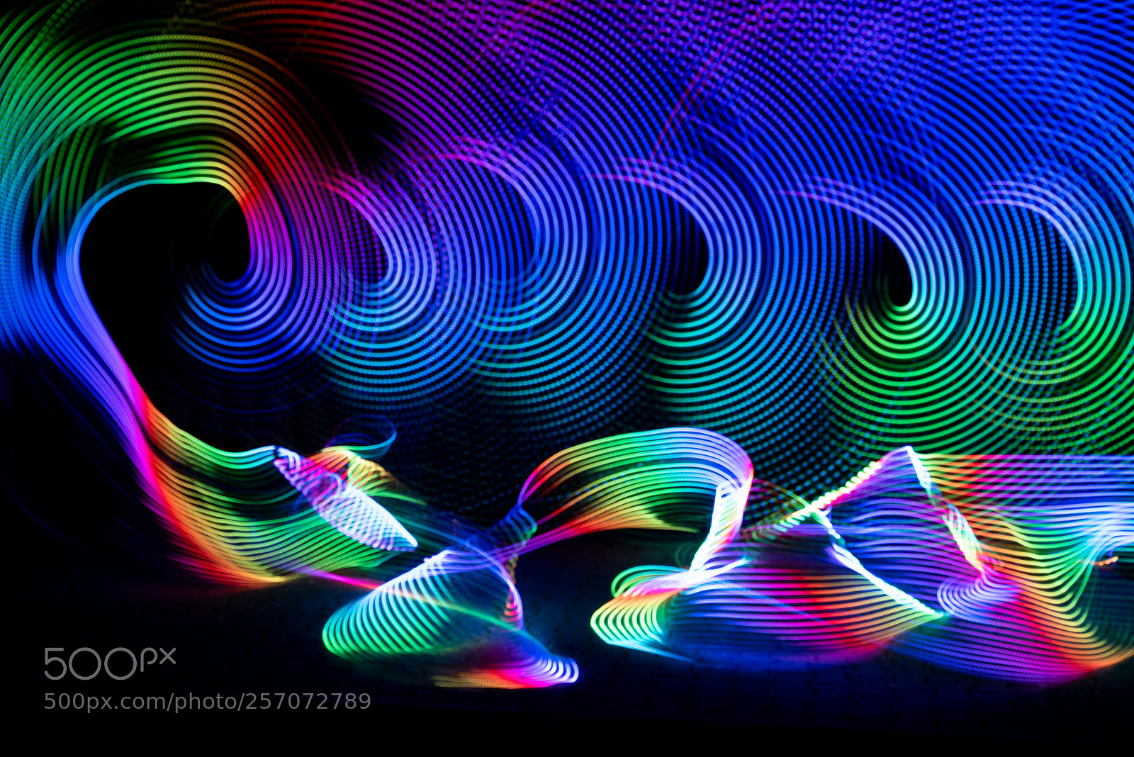 Nikon D750 sample photo. Color explosion.... photography