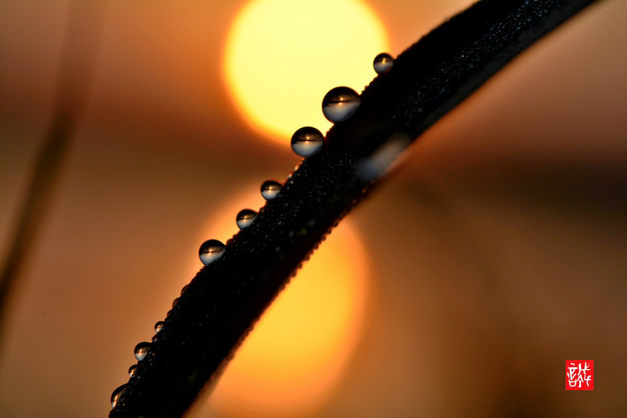Nikon AF-S Micro-Nikkor 60mm F2.8G ED sample photo. Sunrise 0508 photography