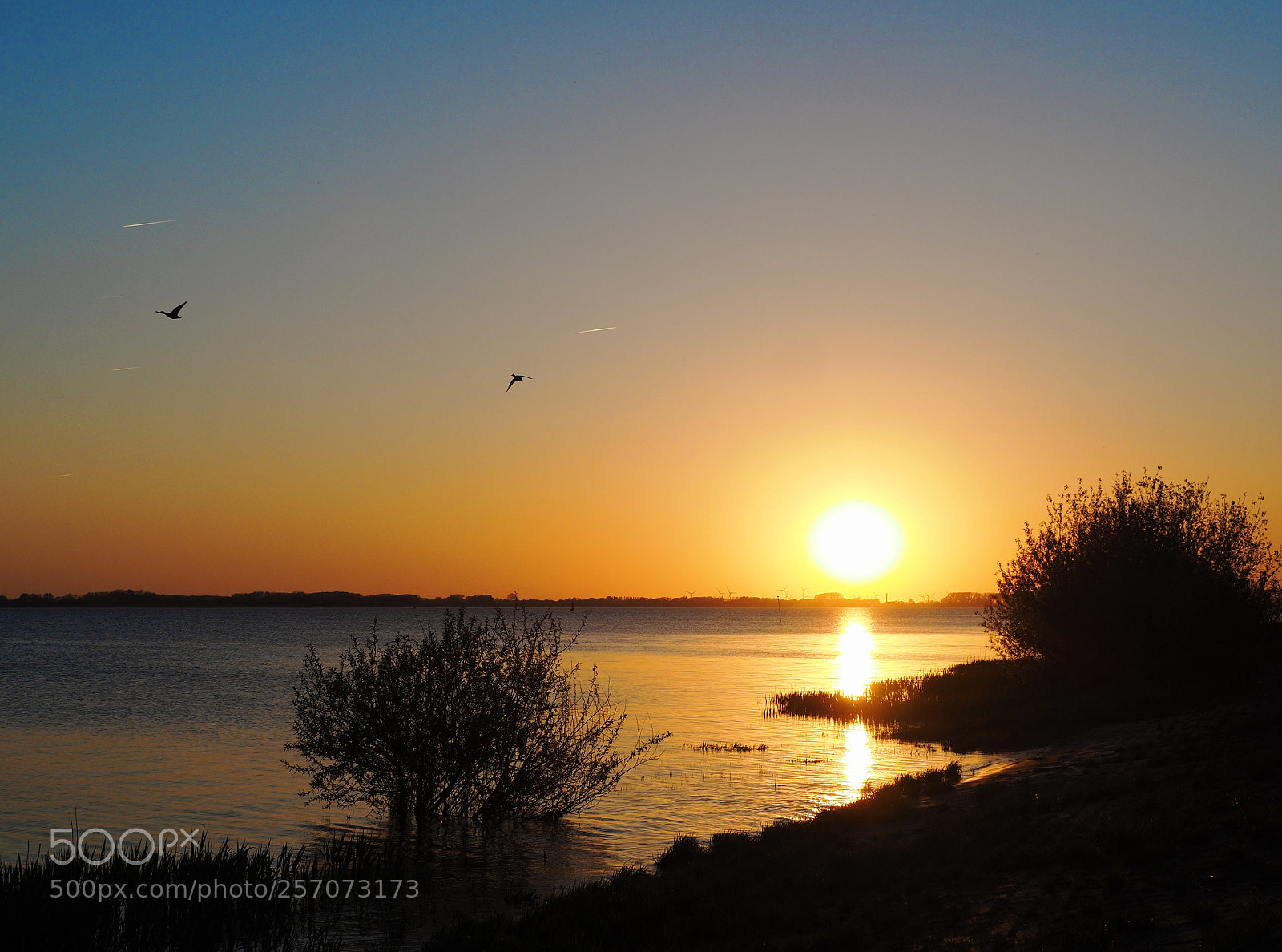 Olympus OM-D E-M5 II sample photo. Northern sunset photography