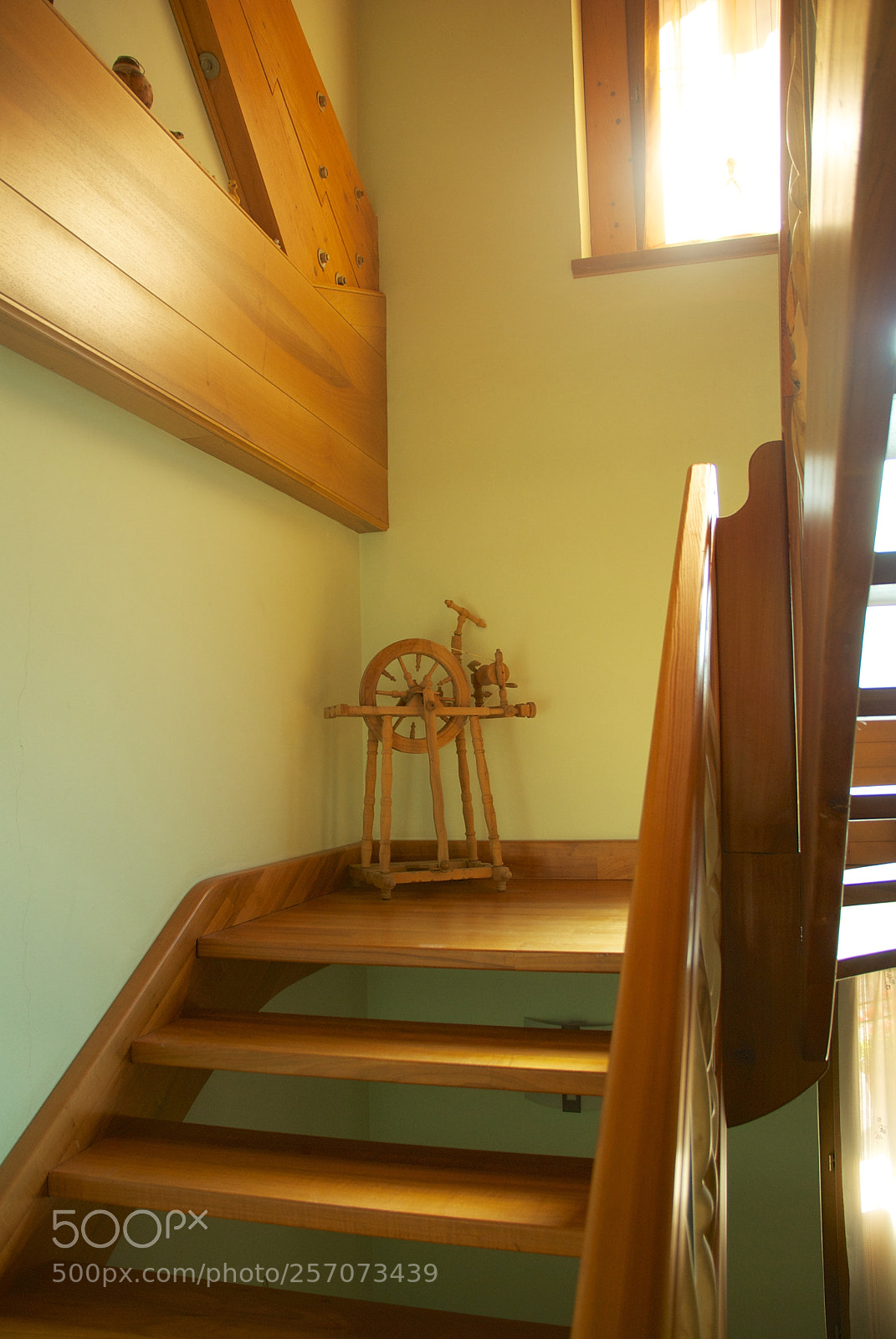 Nikon D60 sample photo. Version photography