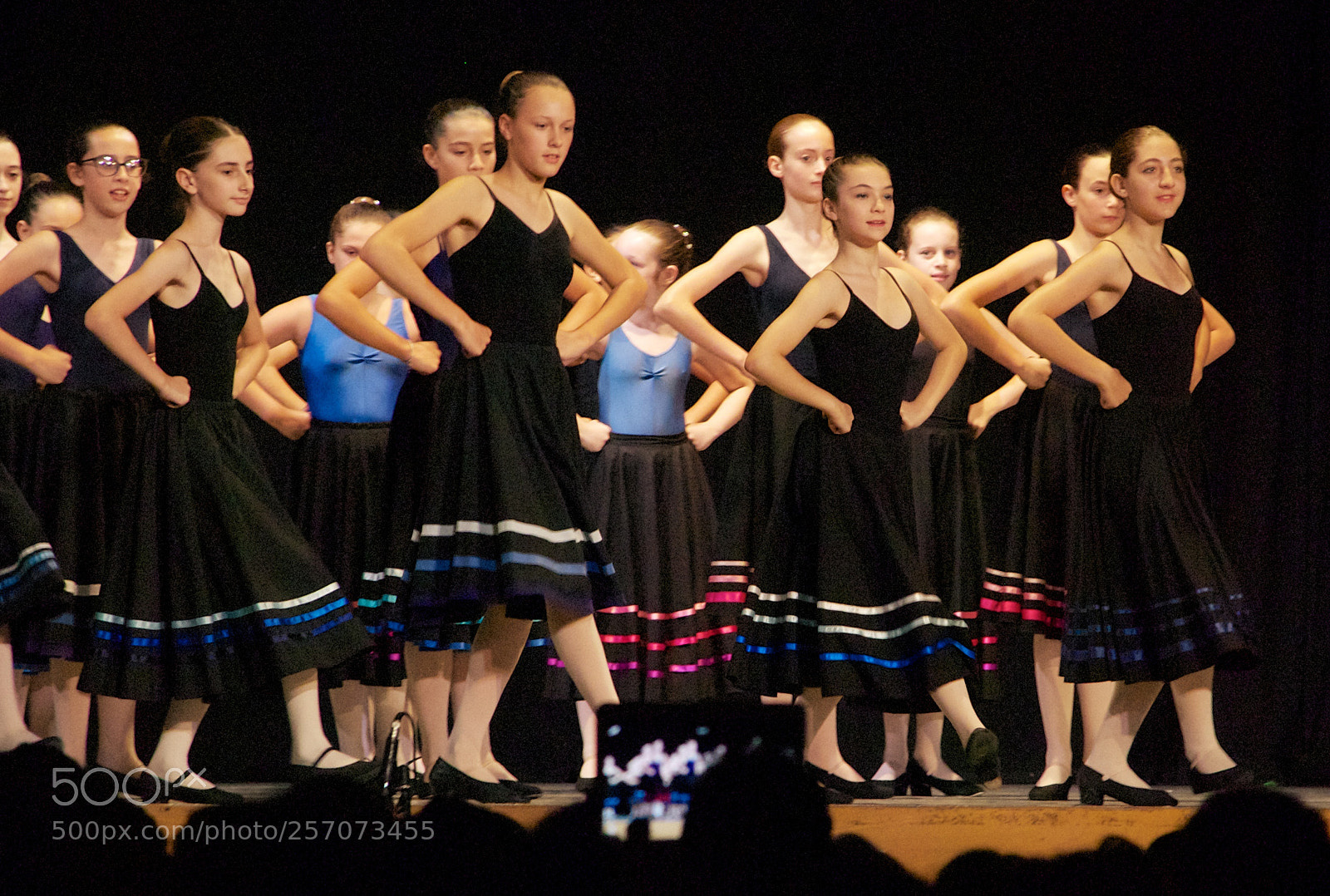 Nikon D60 sample photo. Version photography