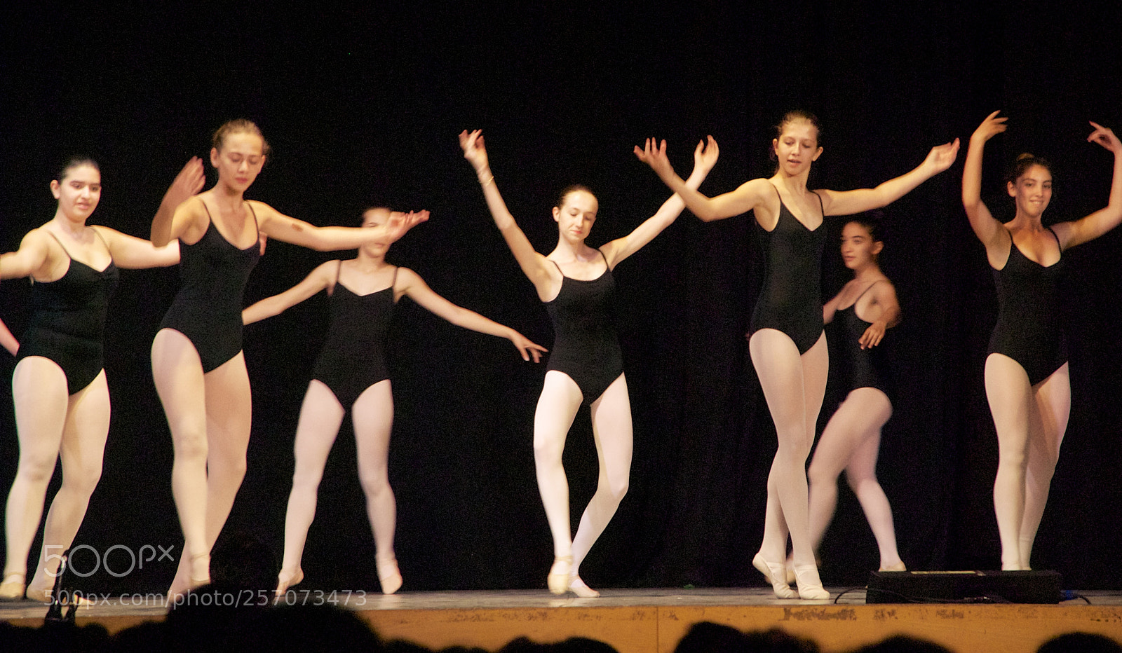 Nikon D60 sample photo. Version photography