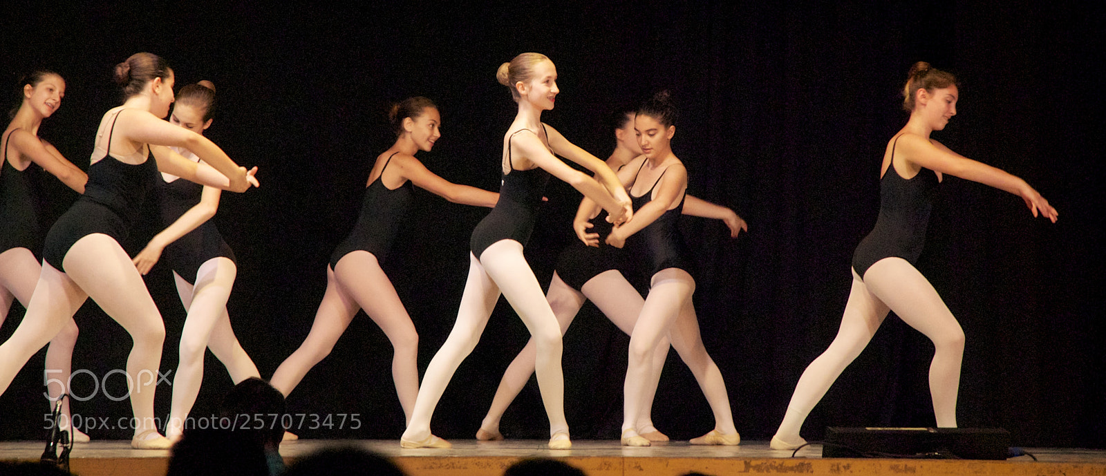 Nikon D60 sample photo. Version photography