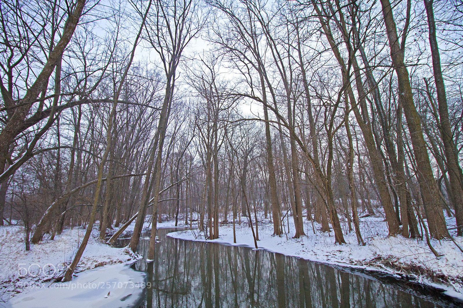 Canon EOS 7D sample photo. Winter photography