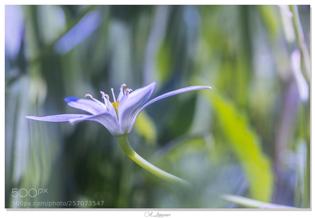 Nikon D7200 sample photo. Untitled photography